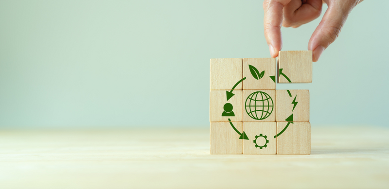 How Life Cycle Assessment Helps You Choose Sustainable Packaging