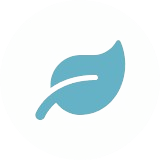 Eco-Friendly Materials