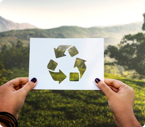 Why We Only Use Sustainable Materials