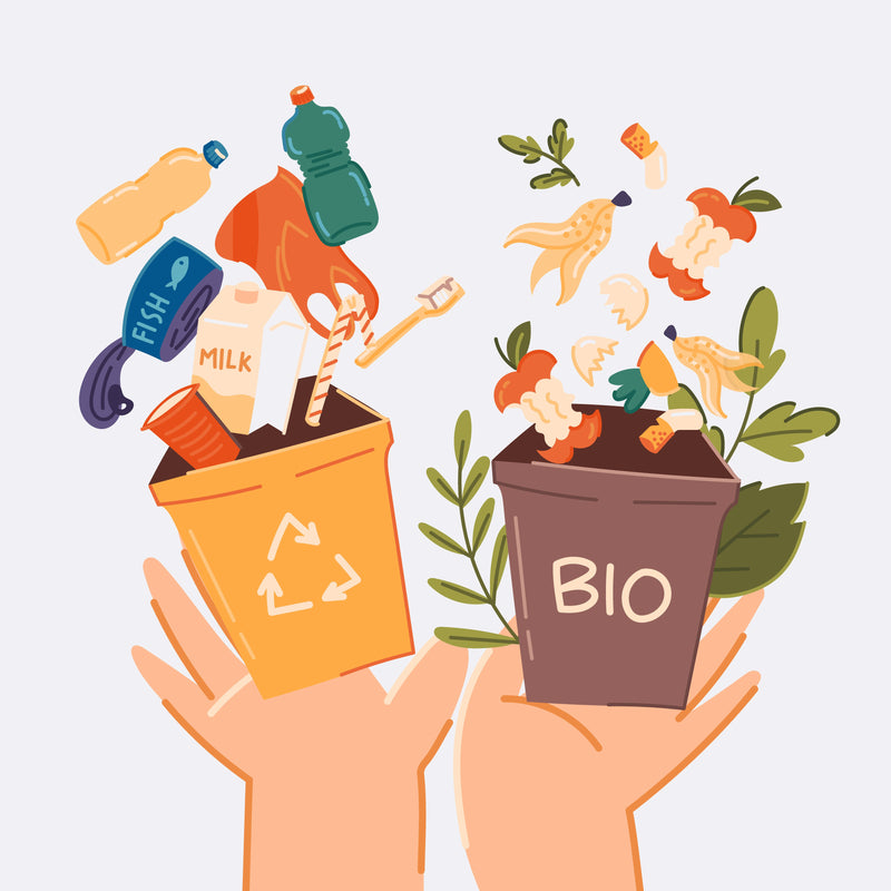 Compostable vs. Recycled Plastic Film: Which Is Right for Your Brand?