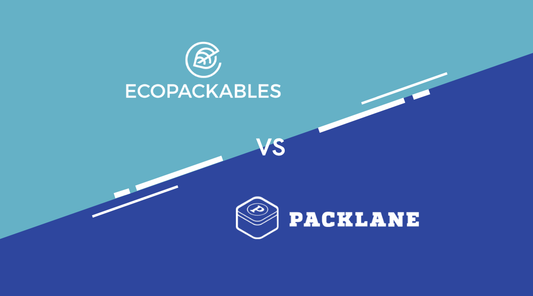 EcoPackables vs. Packlane: Who’s the Best Custom Box Supplier for Sustainable, Scalable Brands?