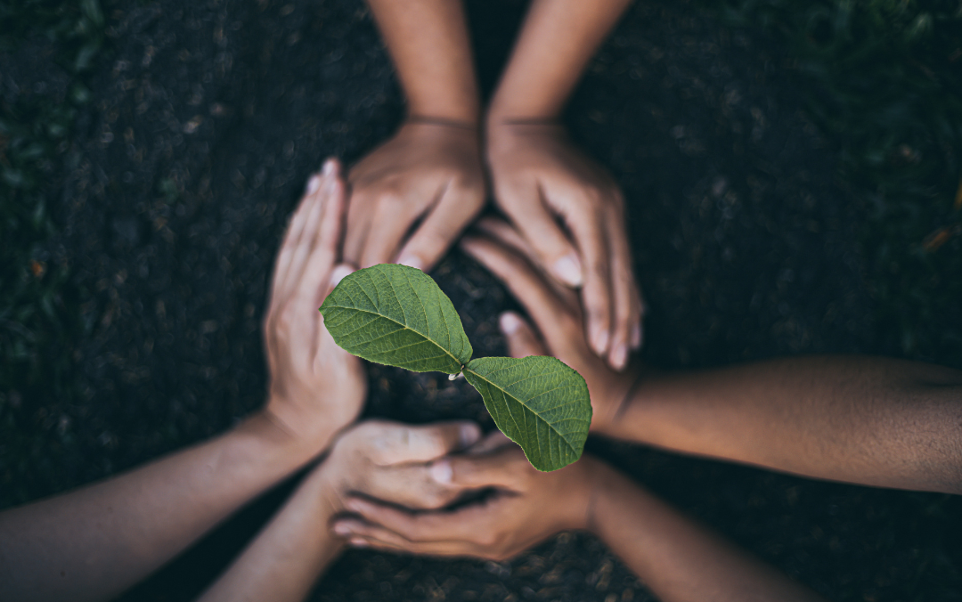 Understanding Sustainability