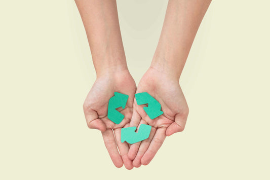 The Inevitable Path to Sustainability