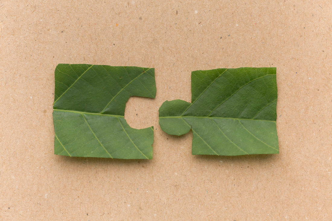 Can Packaging Be Both Recyclable and Compostable? Understanding What Actually Works