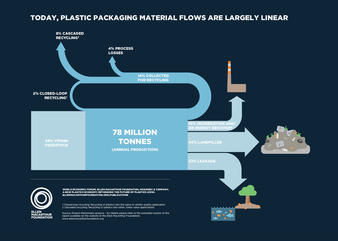 Sustainabe Packaging and It's Role in Circularity