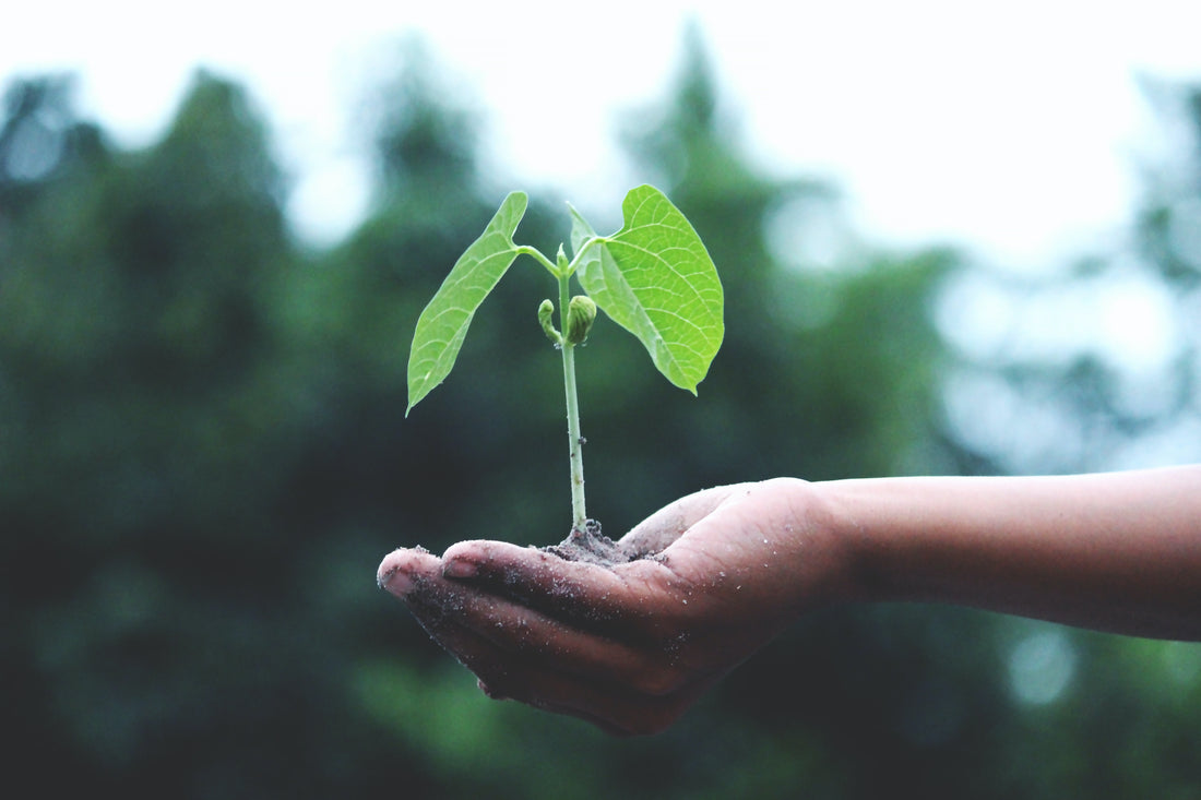 Challenges to Sustainable Packaging