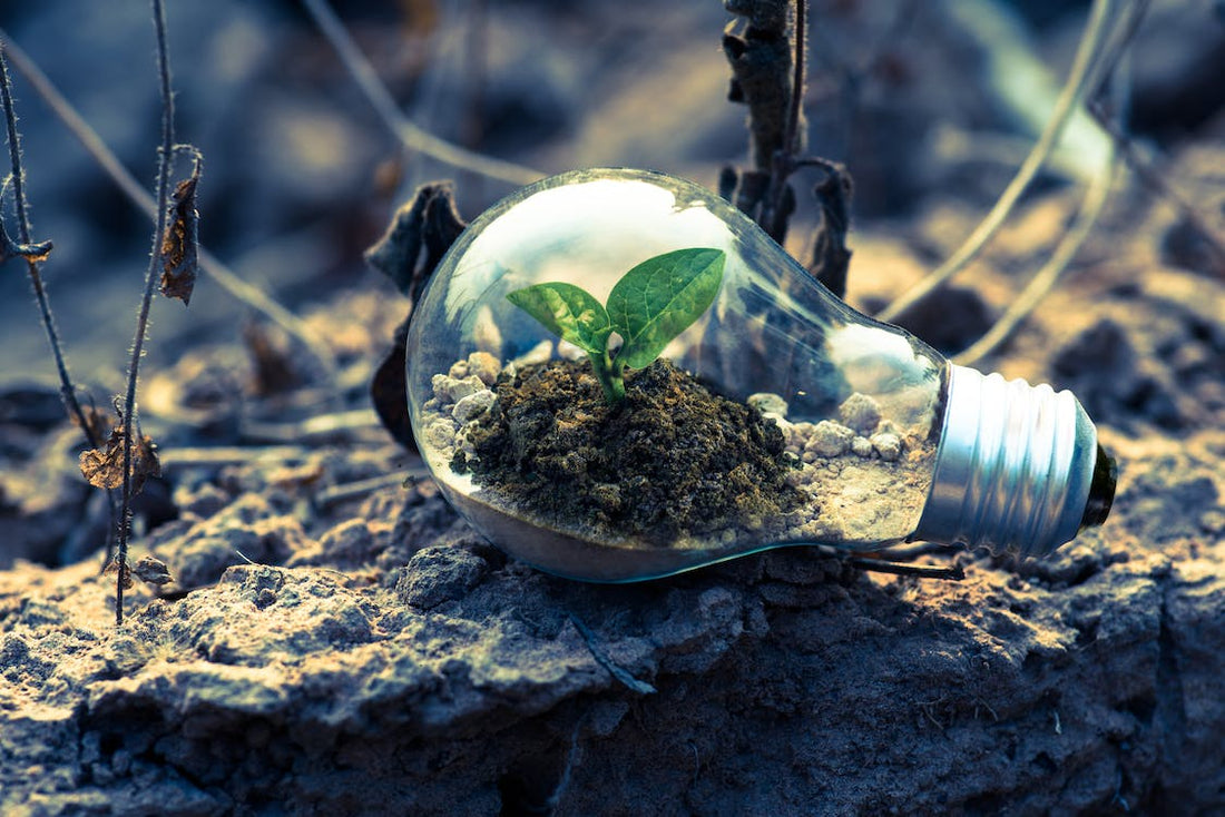 Wanting to Really Go Green?