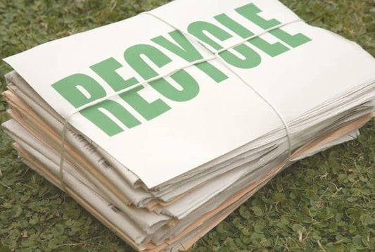 Paper Packaging: Recyclable and Compostable
