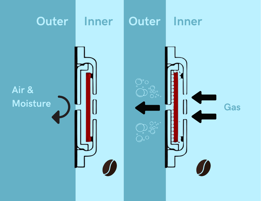 Diagram showing the inner and outer layers of a coffee bean with arrows indicating airflow and gas movement.