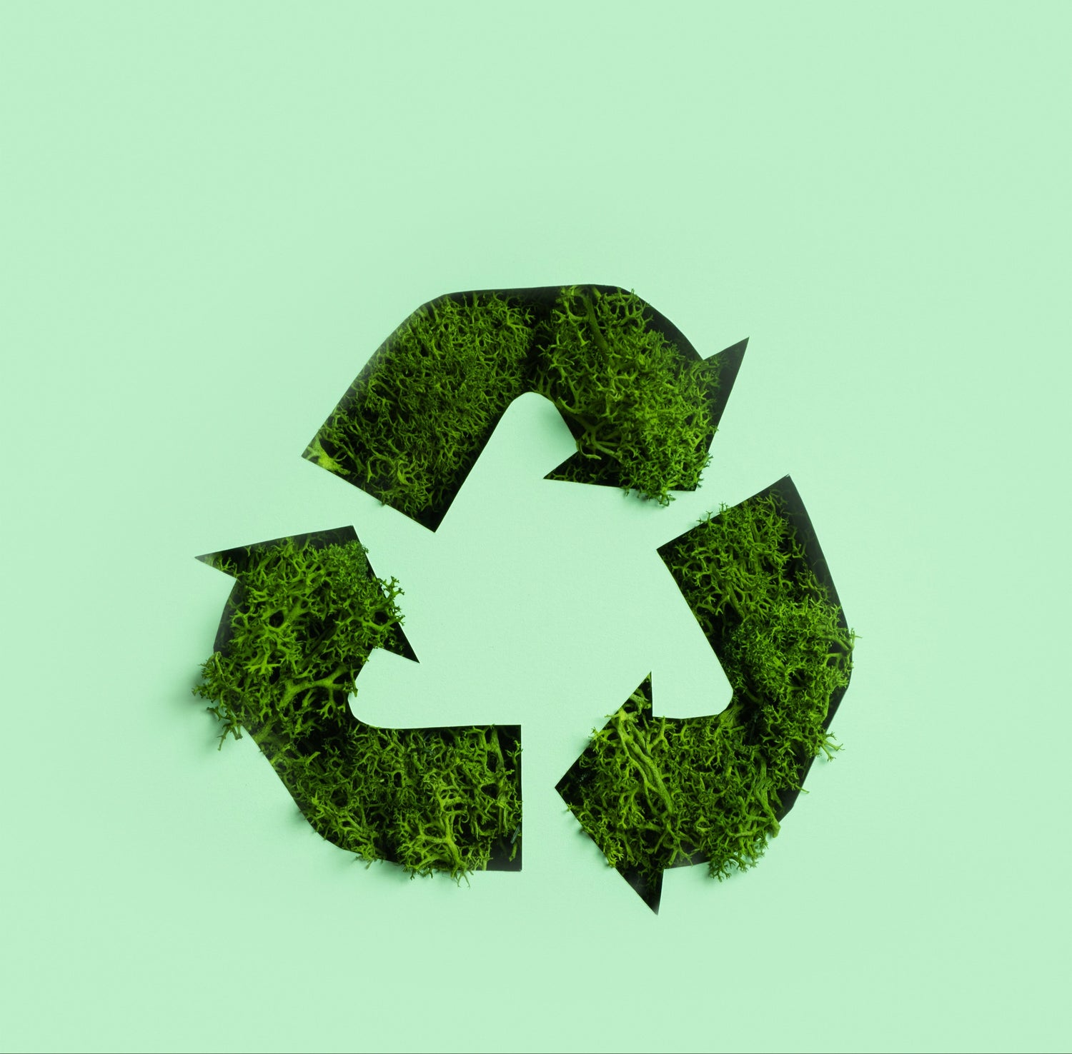save- lanet icon