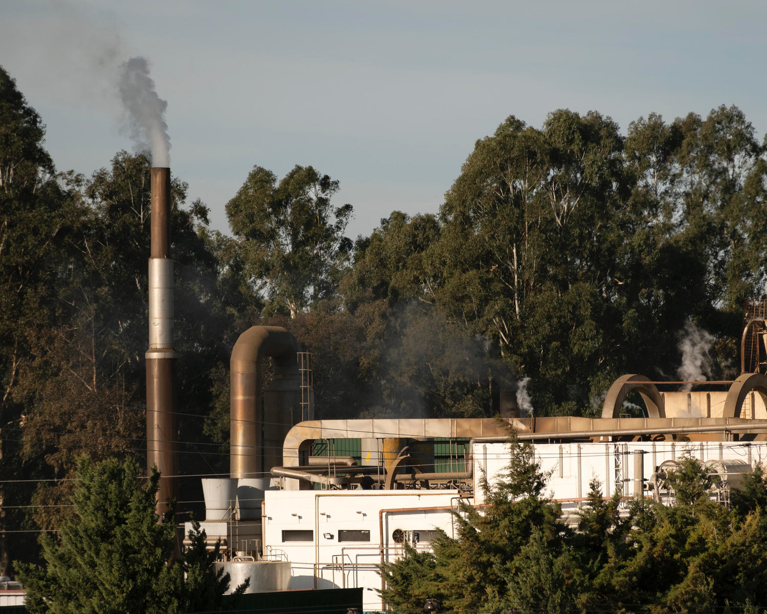 Factory with smokestack emitting smoke, surrounded by trees