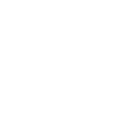 Shield icon